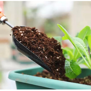 Bộ xẻng làm vườn cán đỏ