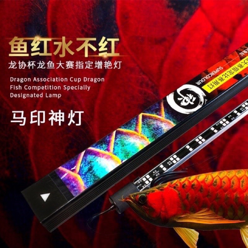 Đen MAYIN Super Colour chuyên dụng cho huyết Long -52cm72cm 92cm 1m12cm 1m42cm1m72cm.
