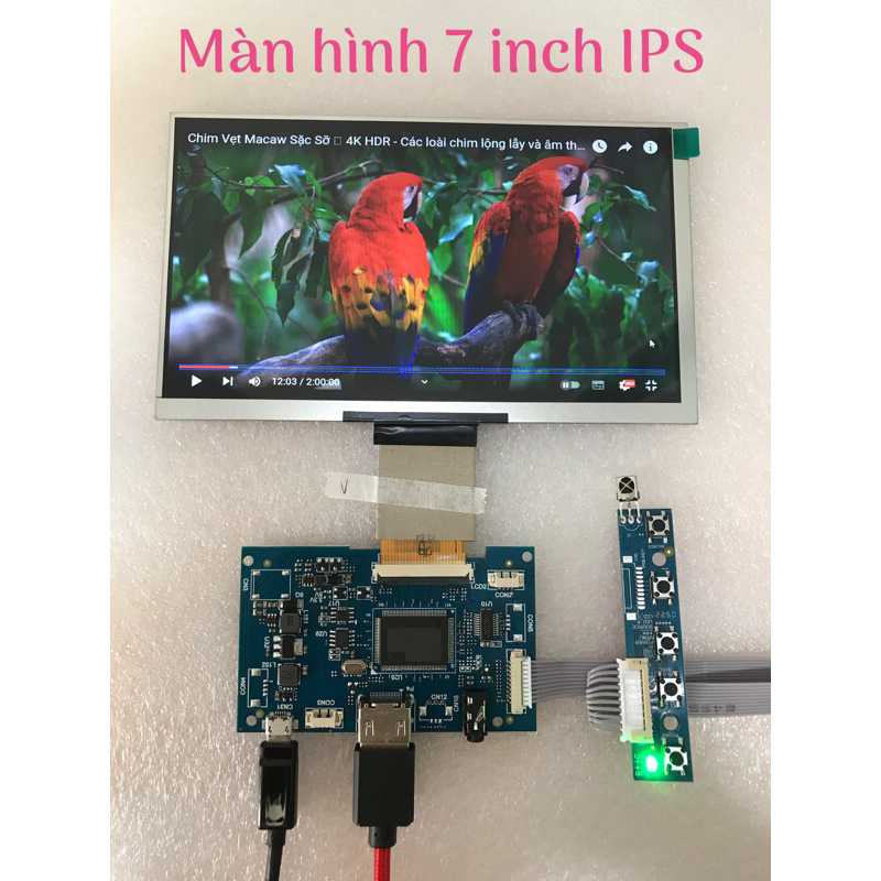 Màn hình 7 inch IPS HDMI 1024X600 | BigBuy360 - bigbuy360.vn