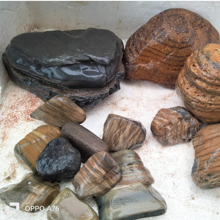 Đá Cuội Vân Mây Siêu Đẹp Nhiều Màu Trang Trí Hồ Cá Tép , Thuỷ Sinh, Sen Đá, Sân Vườn/ Chậu Cây, DYI, Terrarium