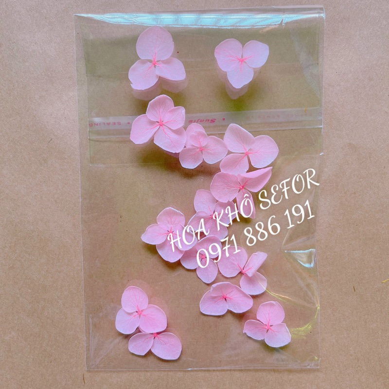 Cẩm Tú  Cầu khô - Set 15 bông Hoa Tú Cầu khô làm HandMade, nến thơm, sáp thơm