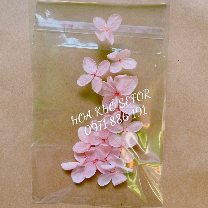 Cẩm Tú  Cầu khô - Set 15 bông Hoa Tú Cầu khô làm HandMade, nến thơm, sáp thơm