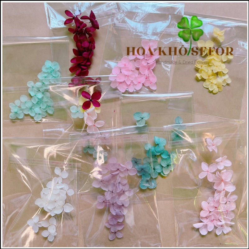 Cẩm Tú  Cầu khô - Set 15 bông Hoa Tú Cầu khô làm HandMade, nến thơm, sáp thơm