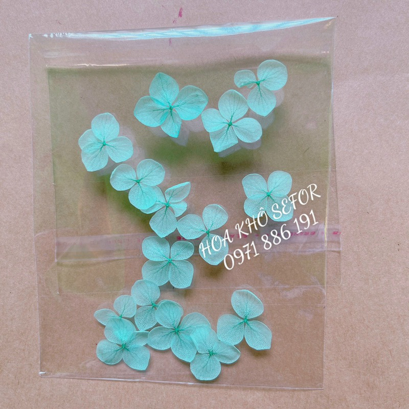 Cẩm Tú  Cầu khô - Set 15 bông Hoa Tú Cầu khô làm HandMade, nến thơm, sáp thơm