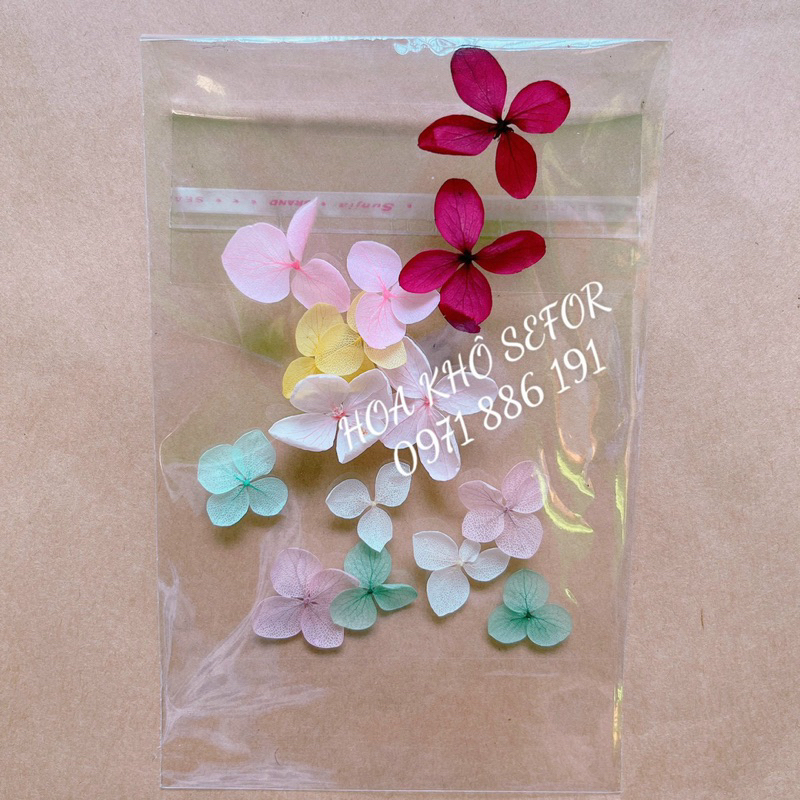 Cẩm Tú  Cầu khô - Set 15 bông Hoa Tú Cầu khô làm HandMade, nến thơm, sáp thơm