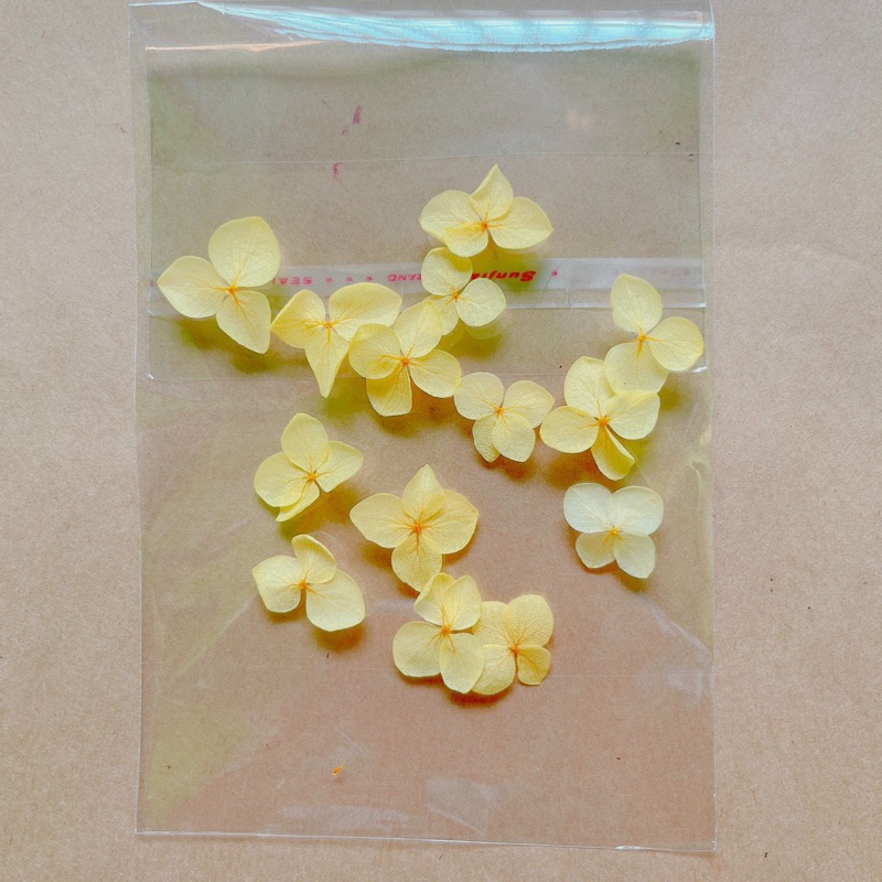 Cẩm Tú  Cầu khô - Set 15 bông Hoa Tú Cầu khô làm HandMade, nến thơm, sáp thơm