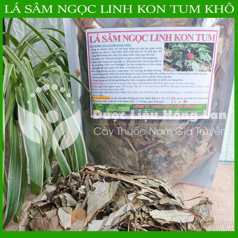 Lá Sâm Ngọc Linh Kon Tum sấy khô nguyên chất loại 1