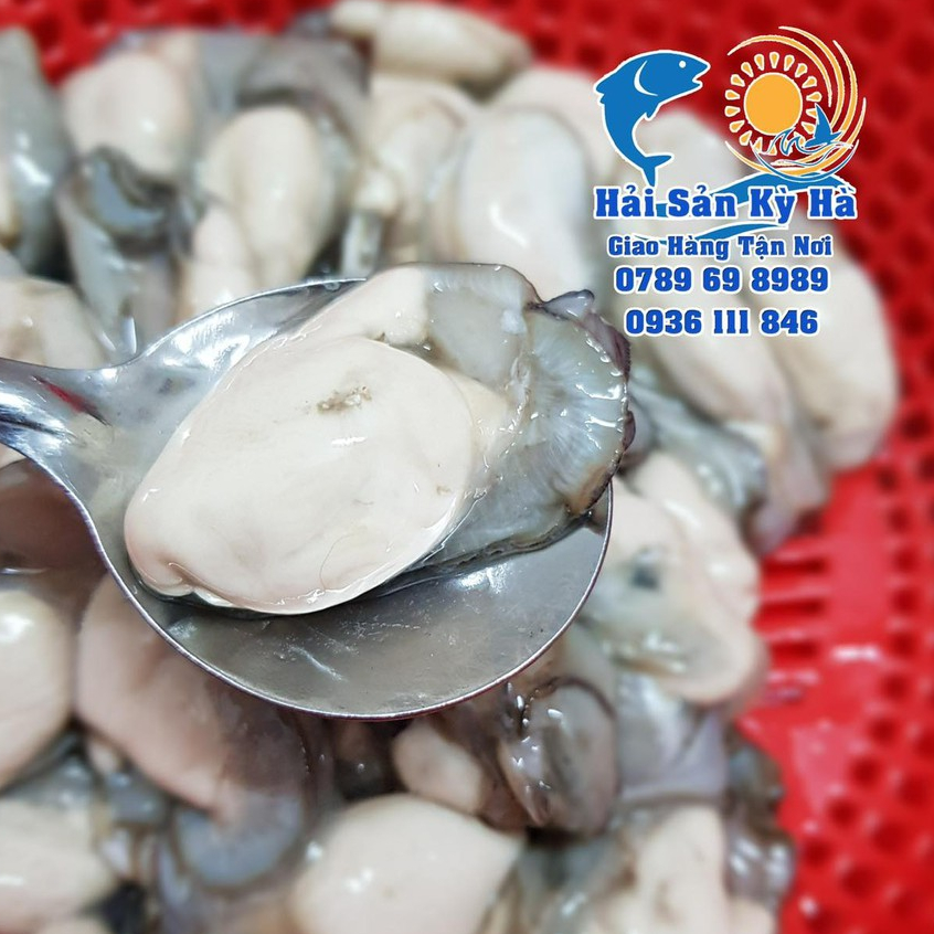 Giá Sỉ - Ruột Hàu Sữa Giá Sỉ Rẻ Nhất