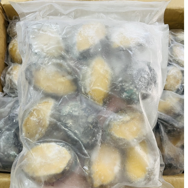 Giá sỉ Bào Ngư thùng xanh size 12/con 1Kg