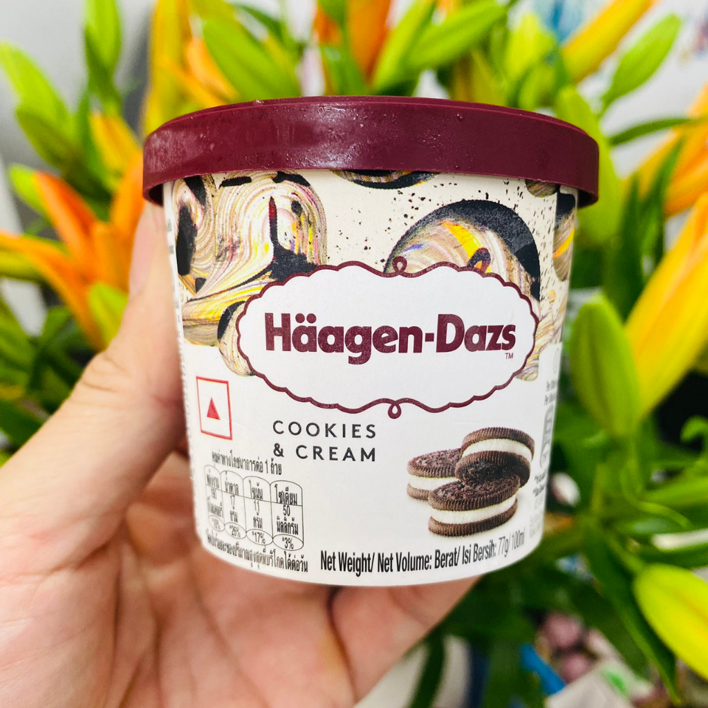 Kem Haagen-Dazs các vị 100ML - Nhập khẩu Pháp