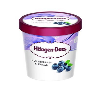 Kem Haagen-Dazs các vị 100ML - Nhập khẩu Pháp