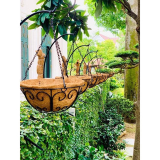 Combo 10 chậu hoa xơ dừa 30cm