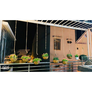 Combo 10 chậu hoa Xơ dừa 30cm