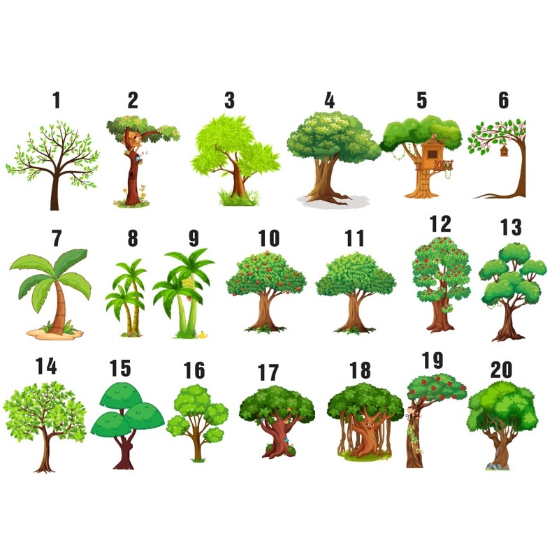 Decal cây trang trí lớp (kt theo yêu cầu)