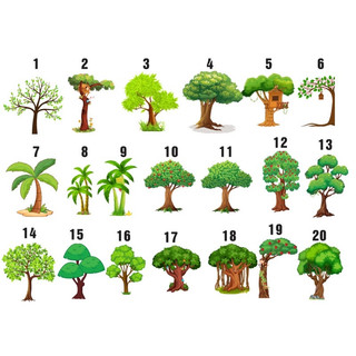 Decal cây trang trí lớp
