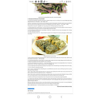 Cây mơ lông cao 50 cm (Ảnh thật).