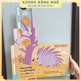 Đồ chơi cho bé How Big is Bear? - Slide and Seek Pull Tab