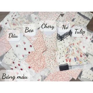 Mã 666 set bộ ngủ lụa viền ren 2 dây qccc