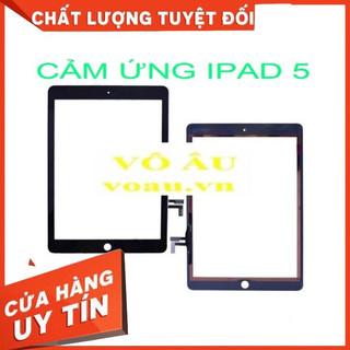 Cảm ứng dành cho ipad 5 màu đen