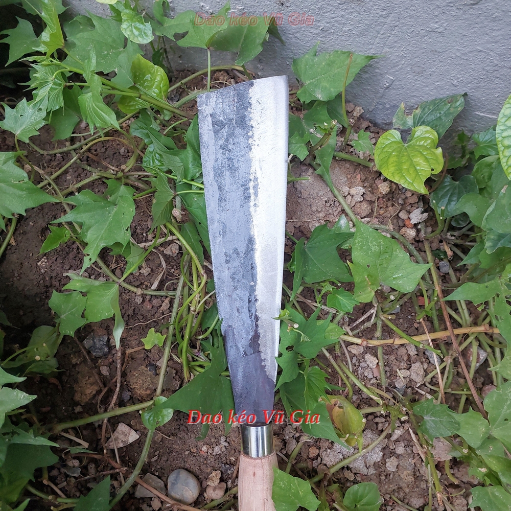 Dao chặt dừa chuyên dụng dao phát cây chặt củi thép nhíp loại 1