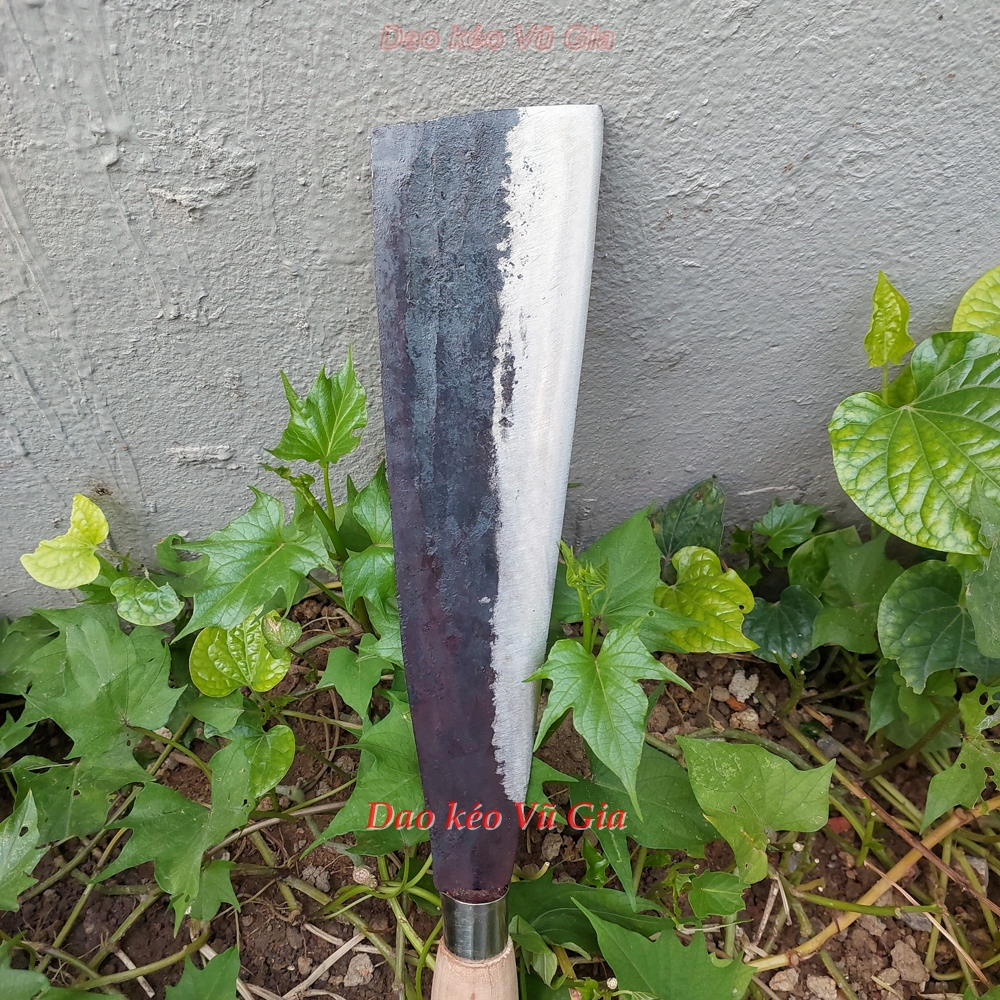 Dao chặt dừa chuyên dụng dao phát cây chặt củi thép nhíp loại 1