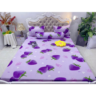 Ga thun Hàn quốc mẫu dâu (8 màu)