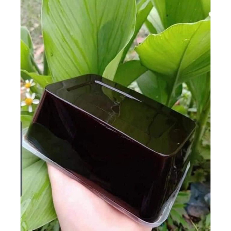 Thạch đen Cao Bằng 1kg hàng chuẩn không hàn the chất tạo đông