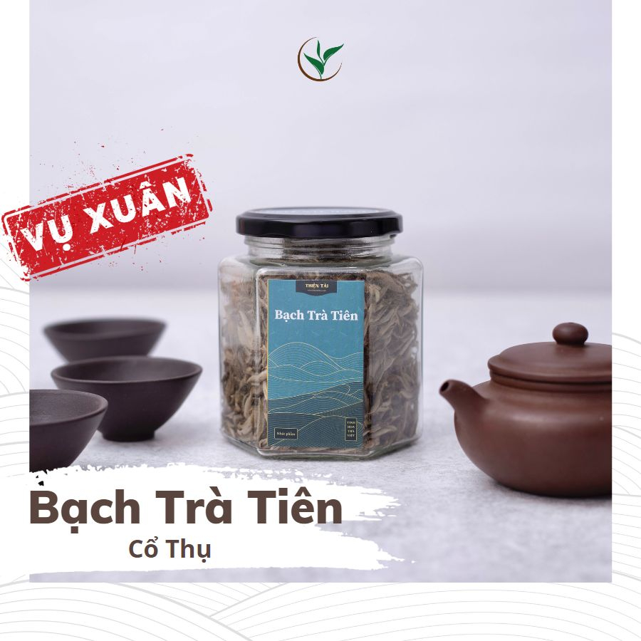 Hũ Bạch Trà Tiên Cổ Thụ Hà Giang Vụ Xuân Trà Hảo Hạng Thiện Tài Búp Trà Lọ Thủy Tinh 70g Quà Tặng