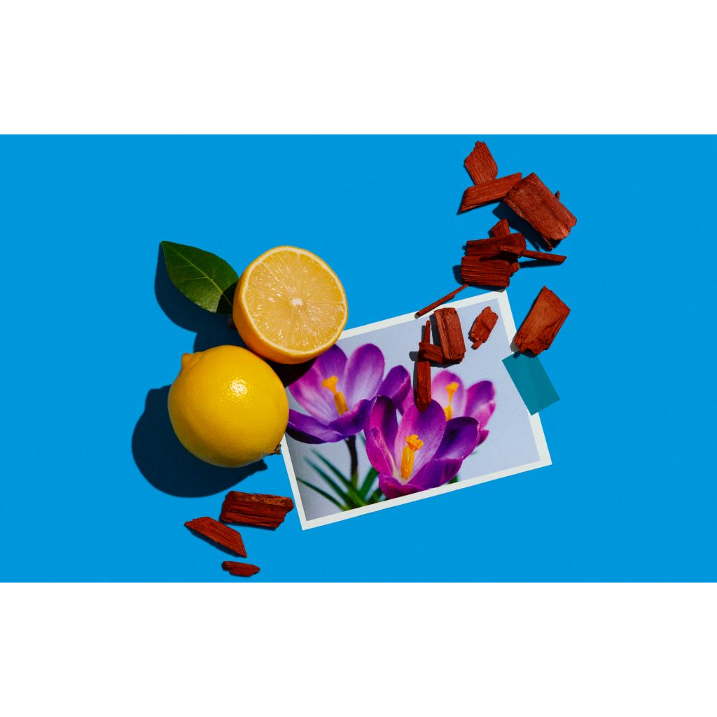 12ml ⁂︎ Nước Hoa 𝗔𝗧𝗘𝗟𝗜𝗘𝗥 CologneSantal Carmin Limited Edition EDT