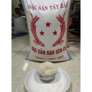 [5kg] Gạo Séng Cù Dài đặc biệt dẻo, thơm ngon