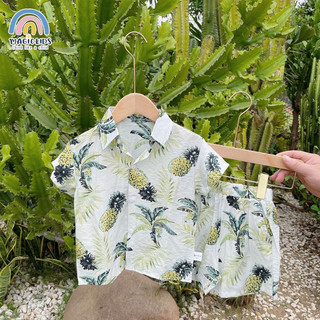 vải đũi tơ quả dứa