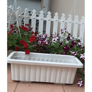 chậu nhựa dài trồng hoa, khay chữ nhật trồng rau có kèm tấm lưới lót.48x20x17cm