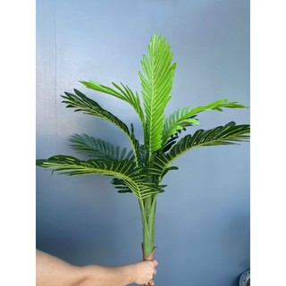 Cây dừa giả _ dài 1m