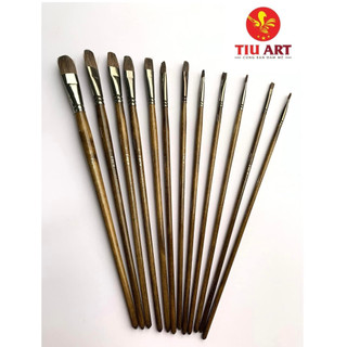 Bộ Cọ Lông Mềm Toro Golden Brush chuyên dụng vẽ Acrylic, Sơn dầu