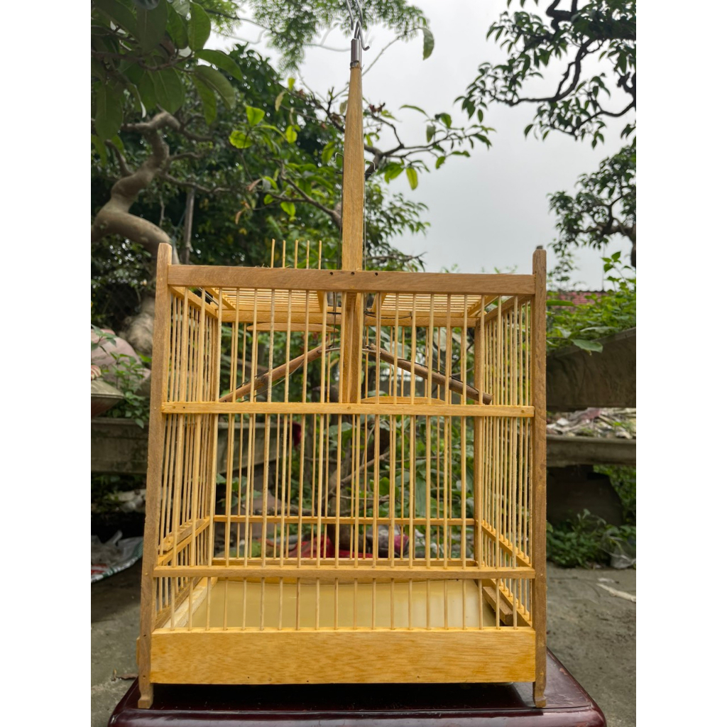 Lồng bẫy chim Khuyên, hút mật, ốc mít, hai cửa gỗ Huế. Phụ kiện lồng chim MAIN-86