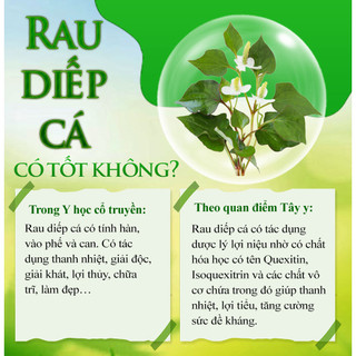 Trà diếp cá Mát gan, thải độc, không mùi (túi 60 gói T11/2025)