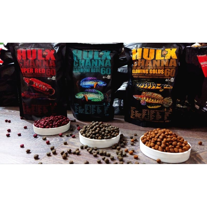 Thức ăn cho cá lóc - Hulx Channa 60% protein phát triển tốt và lên màu sinh động!