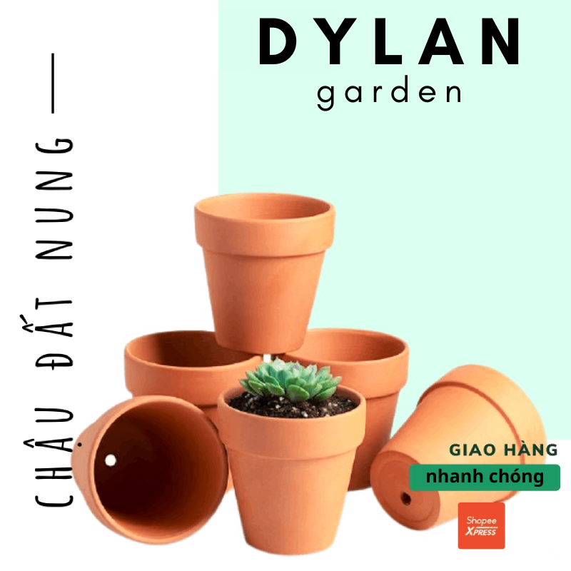 Chậu Đất Nung Đỏ Giá Rẻ Trồng Cây Sen Đá, Xương Rồng, Chậu Trồng Sen Đá Đủ Kích Thước