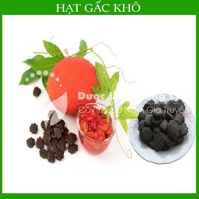 Hạt Gấc khô đóng gói 1Kg - Hàng Công Ty loại 1