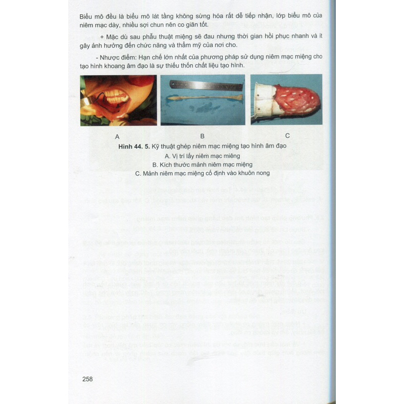 Sách - Bài giảng phẫu thuật tạo hình thẩm mỹ cơ bản 2023