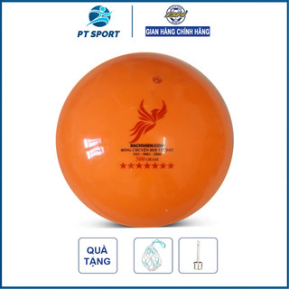 Bóng chuyền hơi 300G Bách Hiền chính hãng tiêu chuẩn thi đấu tặng túi lưới và kim bơm tiêu chuẩn - Banh chuyền hơi