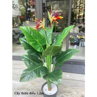 Cây giả - Cây thiên điểu cao 1,2m kèm chậu