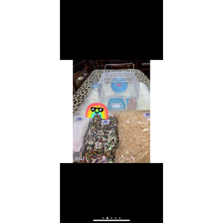 combo đồ nuôi hamster rẻ nhất - combo 10 món đồ