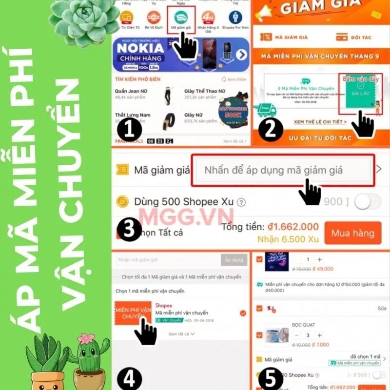 Cây không khí tóc tiên ,trang trí nhà cửa lọc không khí