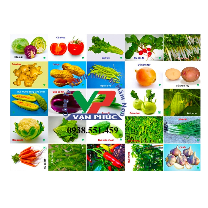 Lô Tô Thực Vật