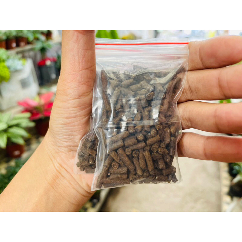 PHÂN BÓN TAN CHẬM GIÚP SEN ĐÁ LÊN MÀU SIÊU ĐẸP, PHÂN CHUYÊN DỤNG CHO SEN ĐÁ SIÊU DINH DƯỠNG