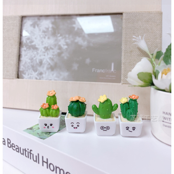 Mô hình chậu cây xương rồng, sen đá mini dễ thương tiểu cảnh, bày bàn làm việc, bàn học, tủ sách, taplo ô tô
