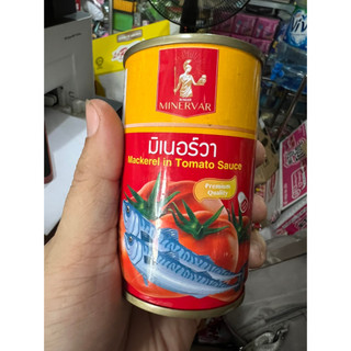Cá Sốt Cà Minervar Thái Lan 155g