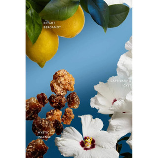 Tester Nước Hoa 𝗔𝗧𝗘𝗟𝗜𝗘𝗥 Encens Céleste EDP 10ml