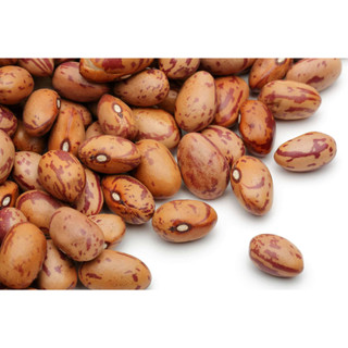ĐẬU CÚC  RAJMA CHITRA/ PINTO BEANS 1KG